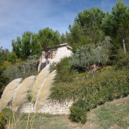 Agriturismo Istrice Innamorato Campello sul Clitunno Ngoại thất bức ảnh